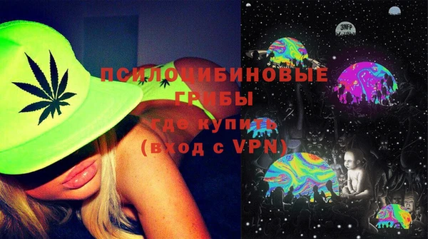 ГАЛЛЮЦИНОГЕННЫЕ ГРИБЫ Гусь-Хрустальный