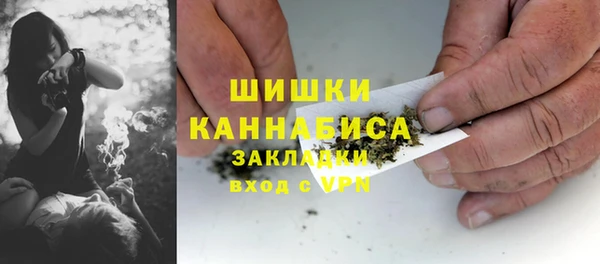 ГАЛЛЮЦИНОГЕННЫЕ ГРИБЫ Гусь-Хрустальный