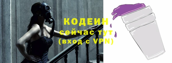 ГАЛЛЮЦИНОГЕННЫЕ ГРИБЫ Гусь-Хрустальный