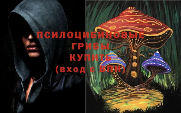 экстази Гусиноозёрск