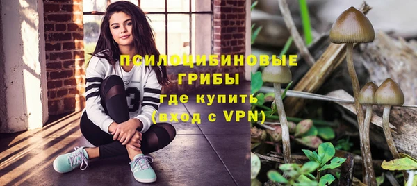 Альфа ПВП Гусев