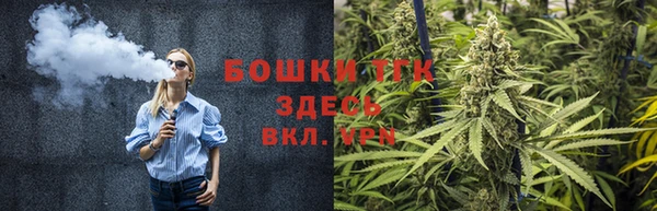 ГАЛЛЮЦИНОГЕННЫЕ ГРИБЫ Гусь-Хрустальный