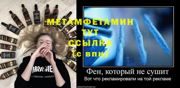 ГАЛЛЮЦИНОГЕННЫЕ ГРИБЫ Гусь-Хрустальный