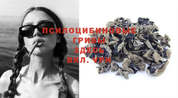 Альфа ПВП Гусев